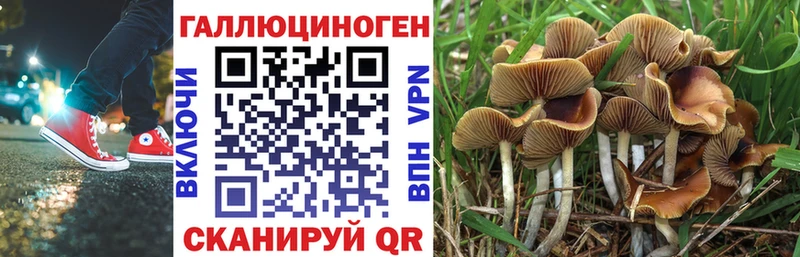 Псилоцибиновые грибы ЛСД  Купить  Полевской 